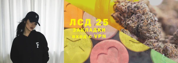 ГАЛЛЮЦИНОГЕННЫЕ ГРИБЫ Белоозёрский