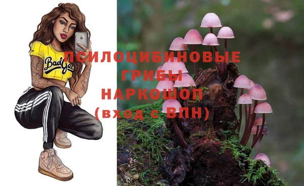 молекула духа Белокуриха