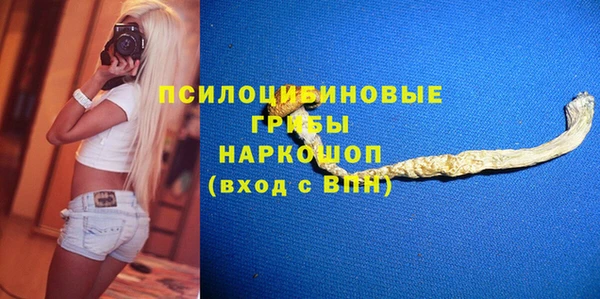 молекула духа Белокуриха