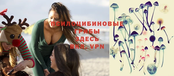 ГАЛЛЮЦИНОГЕННЫЕ ГРИБЫ Белоозёрский