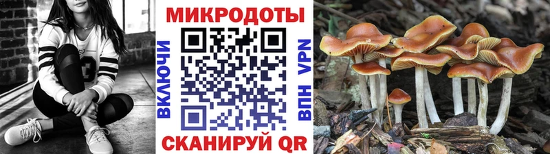 Купить где Алушта Галлюциногенные грибы GOLDEN TEACHER